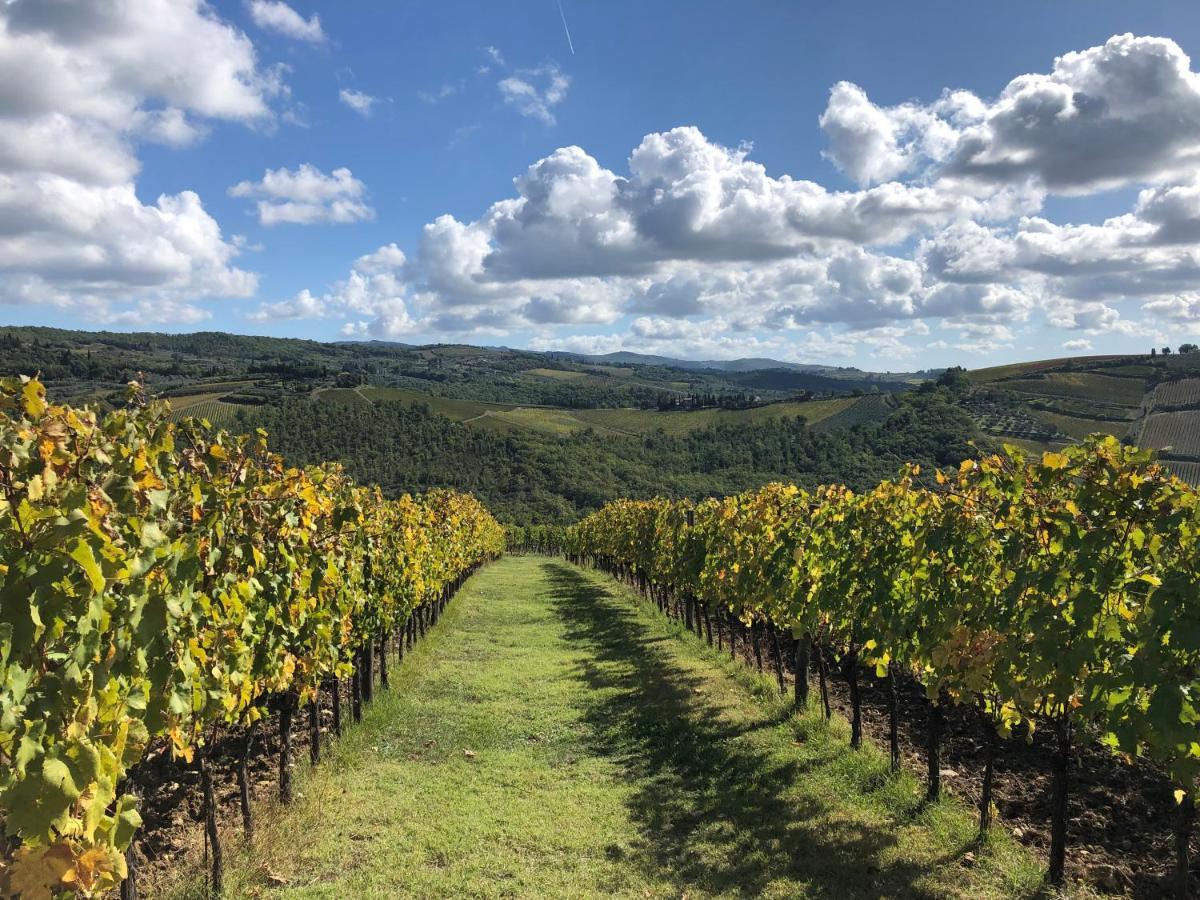 Fattoria Di Rignana Winery Bnb Greve in Chianti Exteriör bild