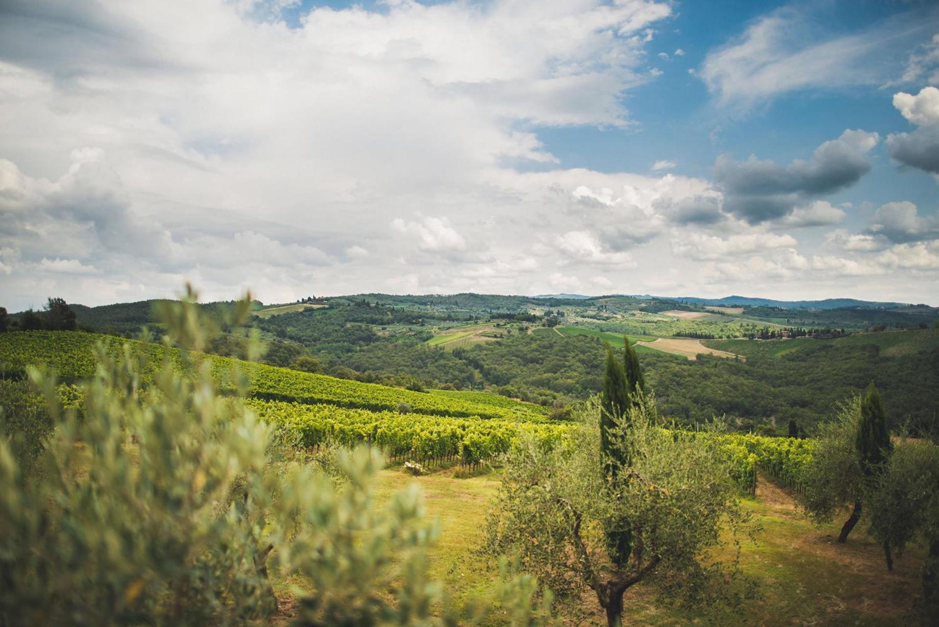 Fattoria Di Rignana Winery Bnb Greve in Chianti Exteriör bild
